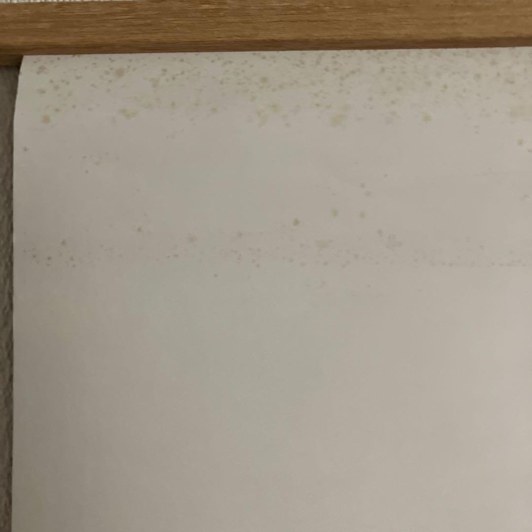 OVA「真・女神転生〜東京黙示録〜」DVD特典ポスター（B2サイズ）。美品