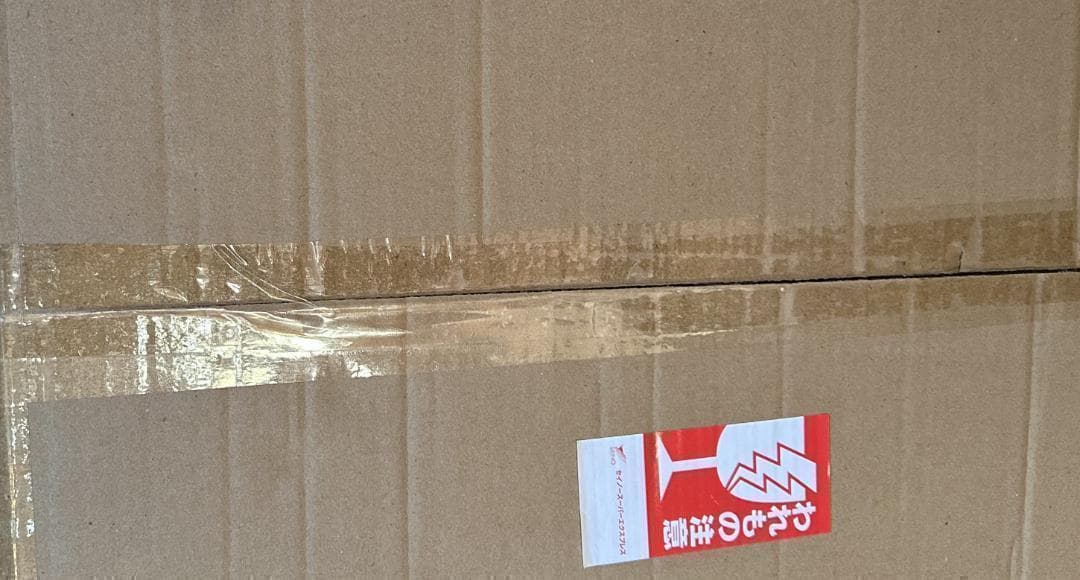 【M2145-134-100】バイオリン 初心者入門セット エクストラストリング