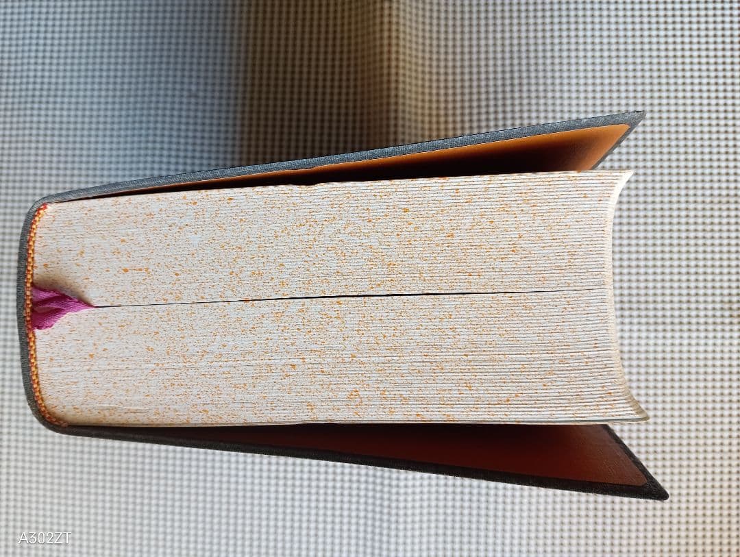 □聖書 新改訳 注解・索引・チェーン付引照付き いのちのことば社