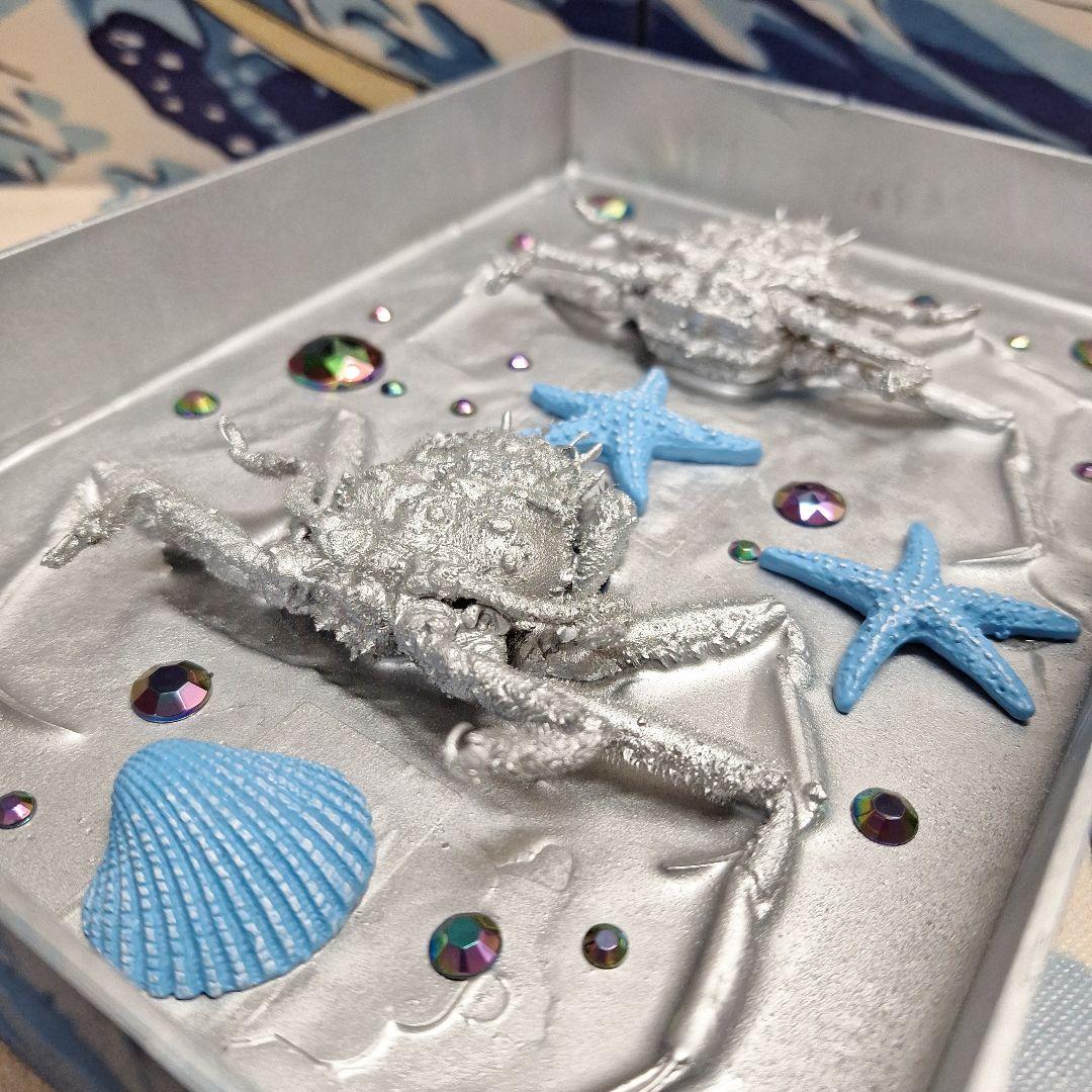 平家怨霊人面蟹稀少レア平家蟹鬼面蟹ペア二点凹凸リアル立体