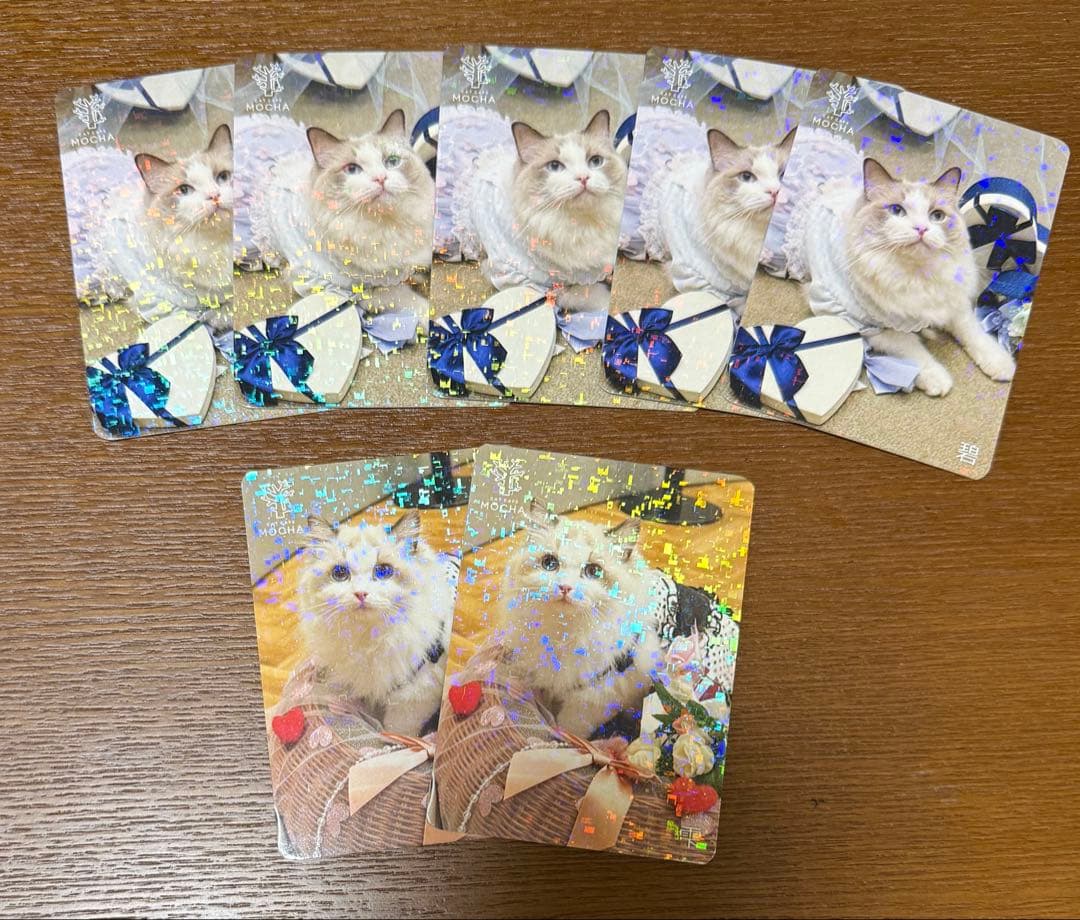 猫カフェmocha名古屋栄店 バレンタイン にゃんずトレカ 碧 雫 - メルカリ