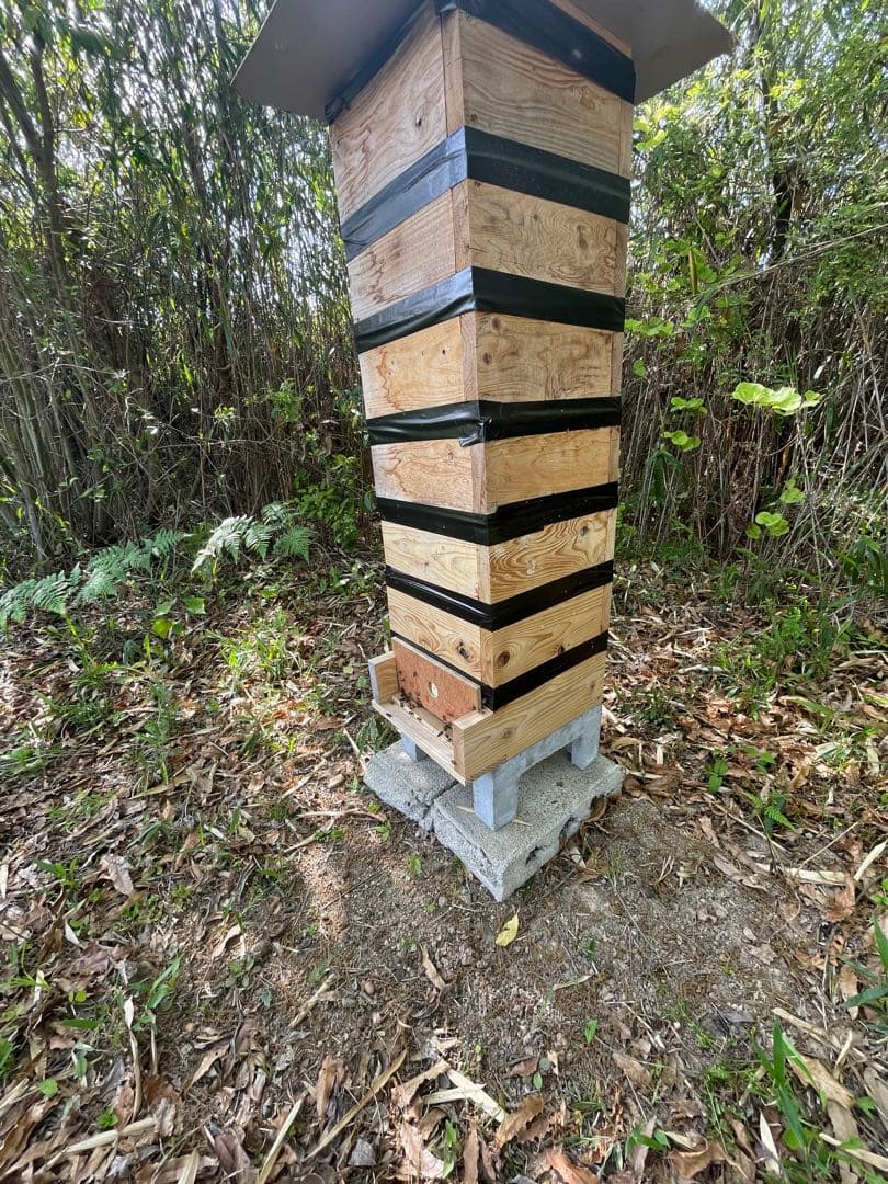 日本蜜蜂重箱式巣箱の継箱三箱！ハニーズハウス用！超訳あり