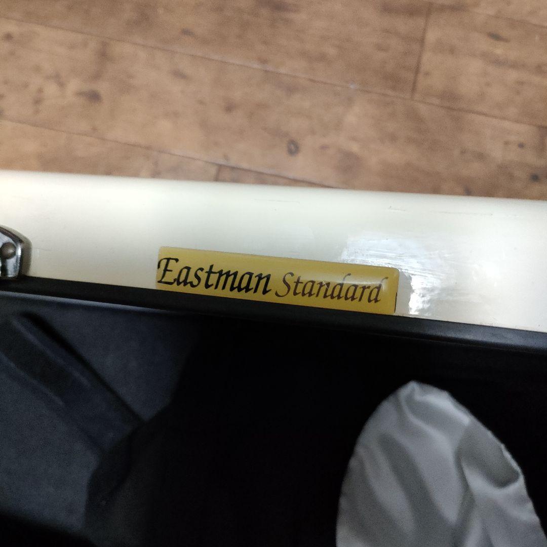 イーストマン　ホワイト バイオリンケース　 R＆Bell　エレキバイオリン