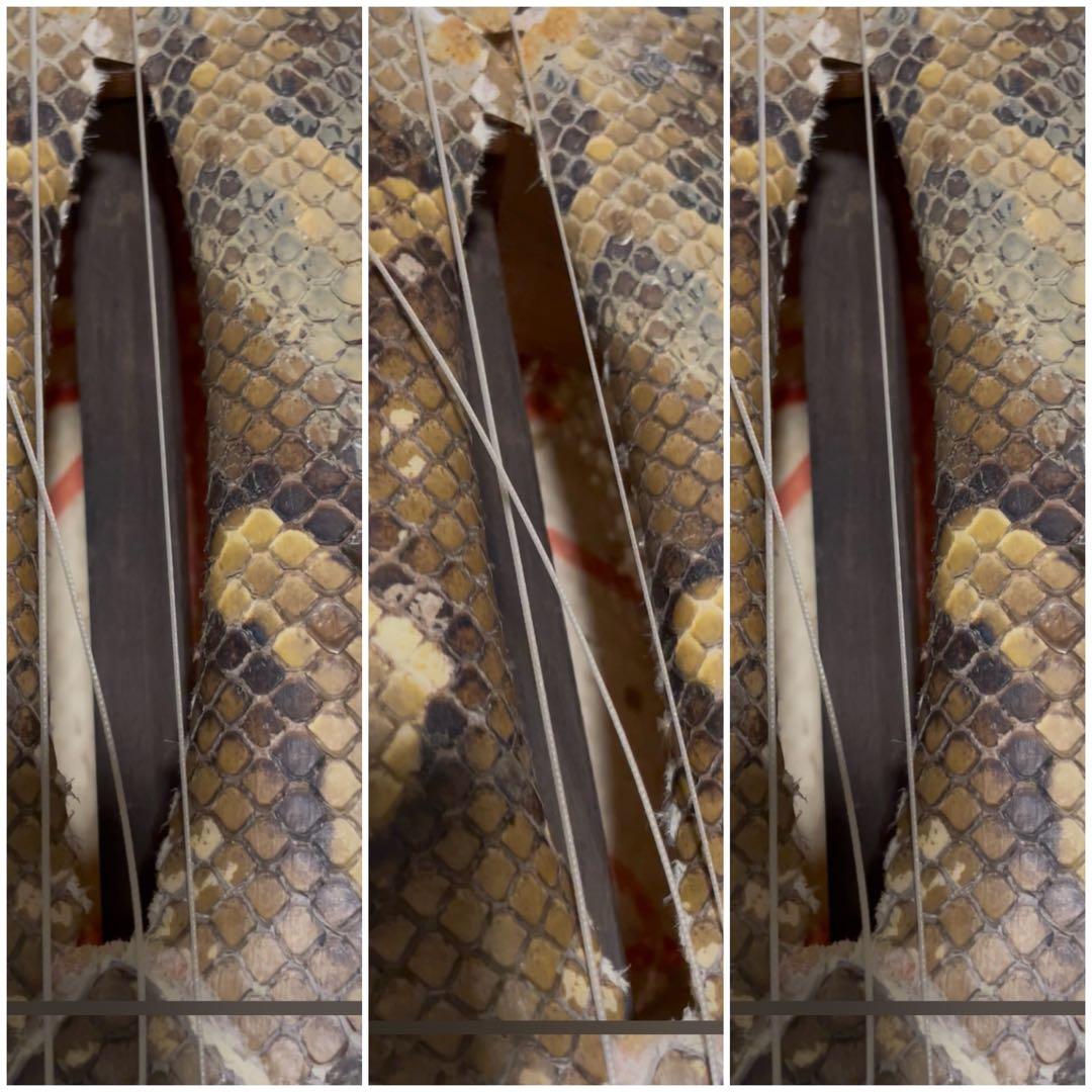 三線 ヘビ皮 2本 ケース付き 難あり