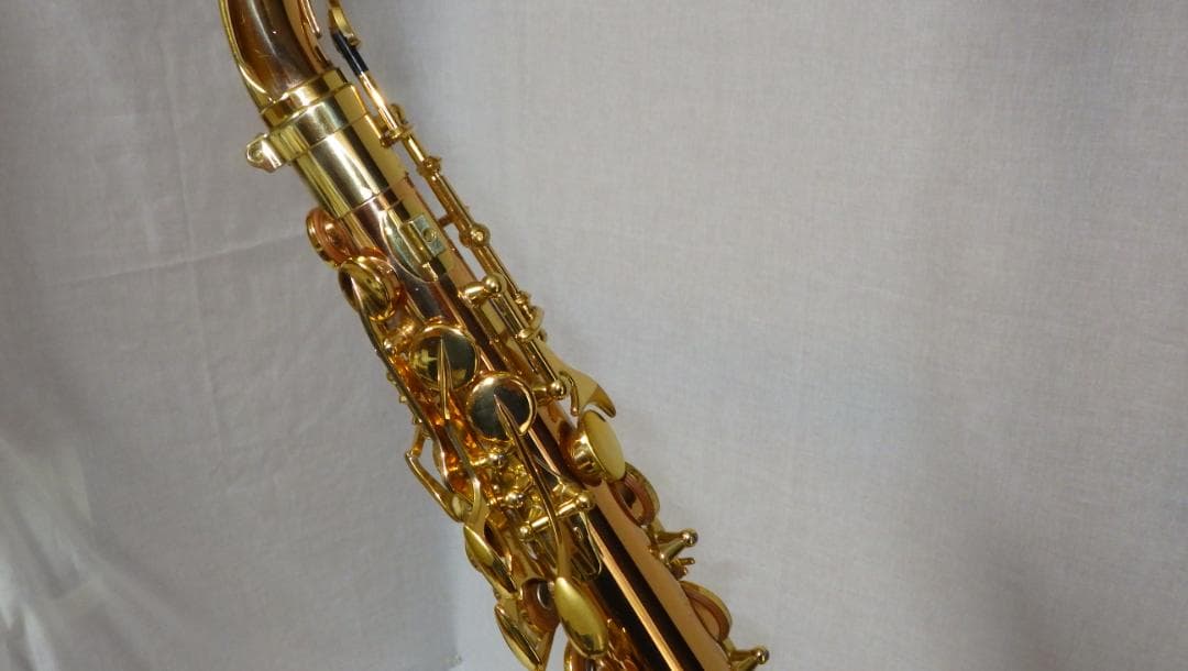 YANAGISAWA アルトサックス ヤナギサワ A-WO20