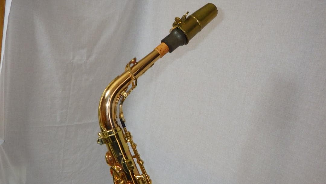 YANAGISAWA アルトサックス ヤナギサワ A-WO20