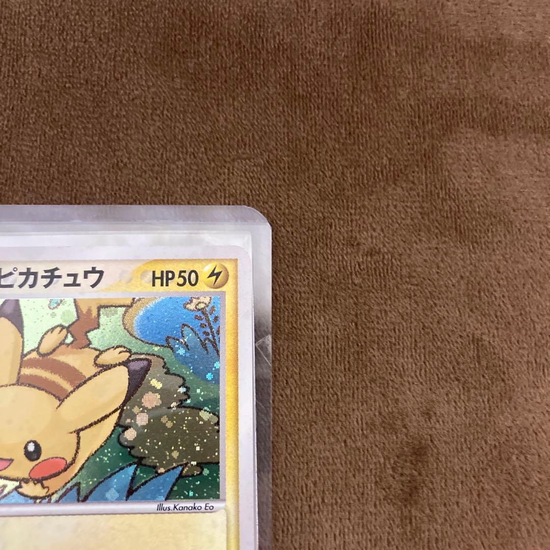 早い者勝ち!!!ポケモンカード ポケパークのピカチュウ 004/009