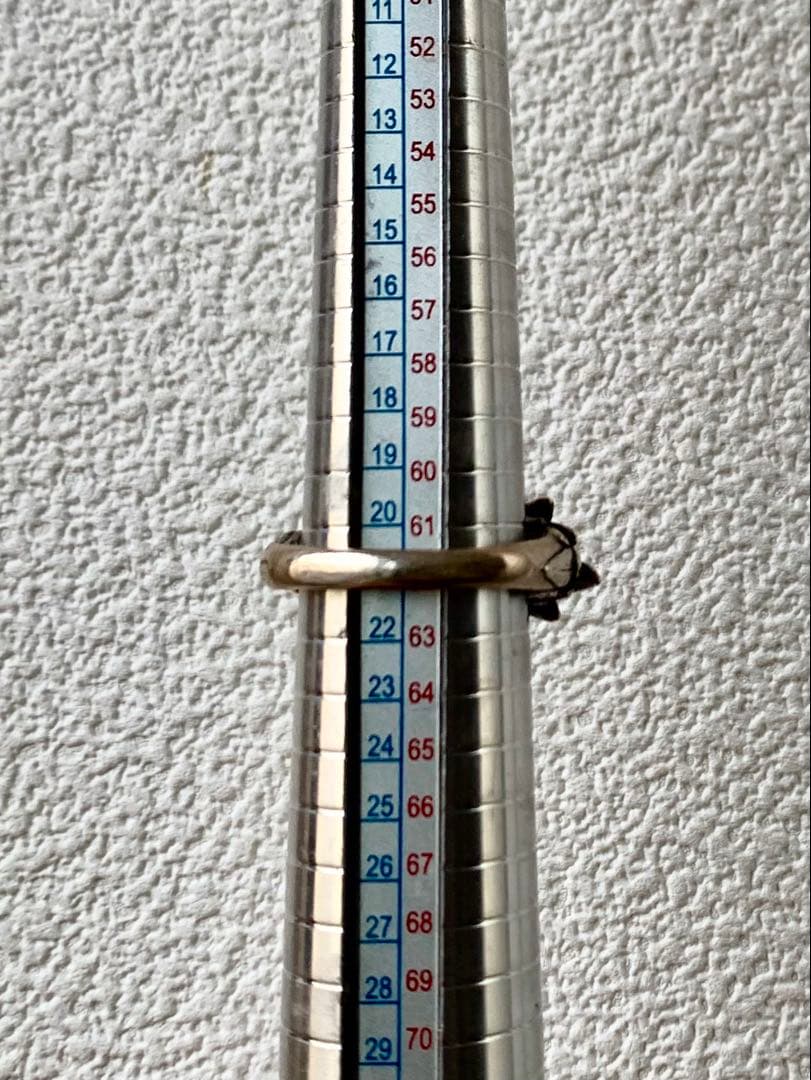 Bloody Mary ミストレイト リング (寄生木) 21号