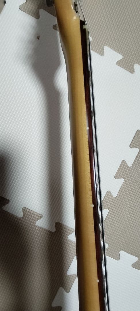 ギター Fujigen Neo Classic Series NCST-20R