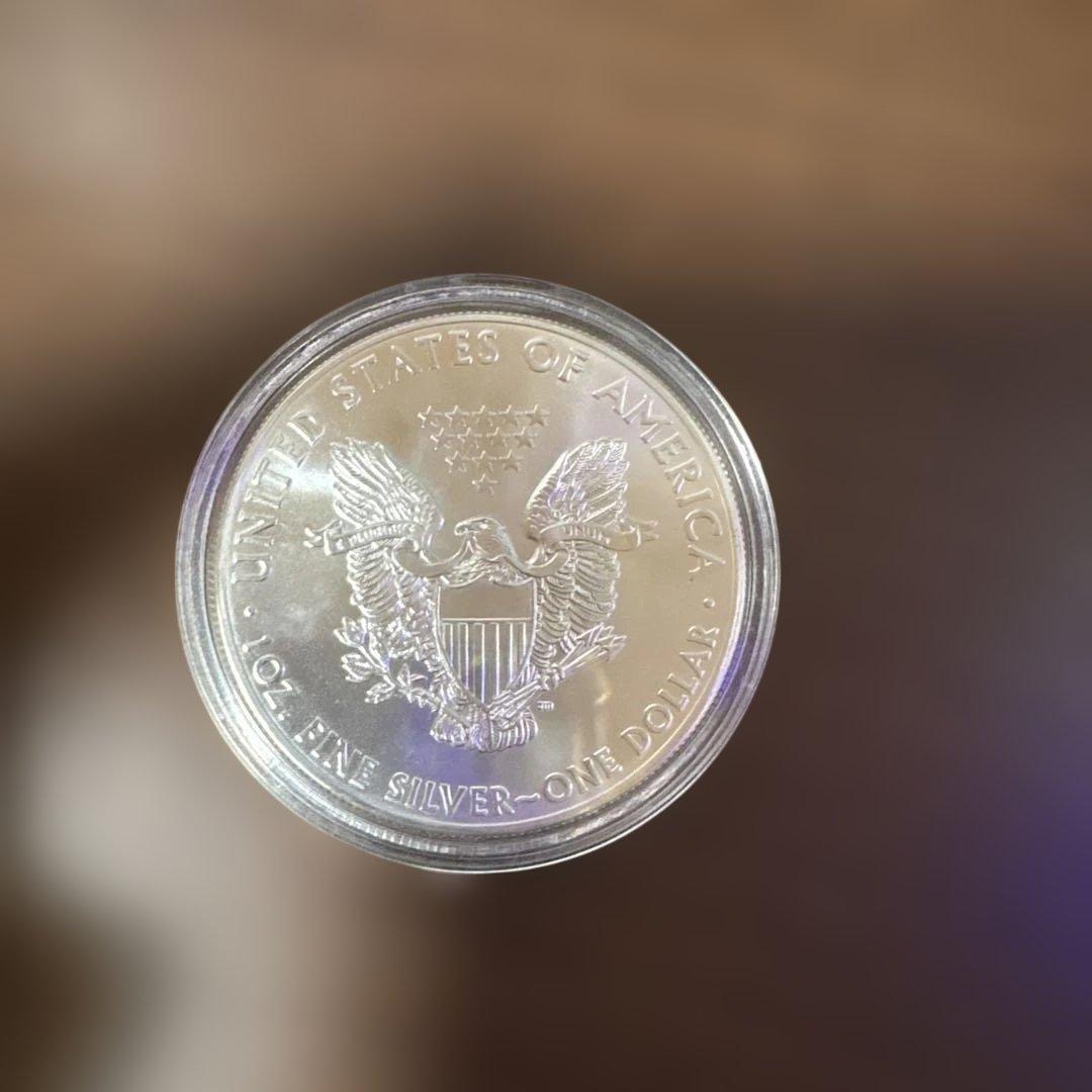 アメリカンウォーキングリバティーイーグル銀貨 2014年 1ドル 1オンス