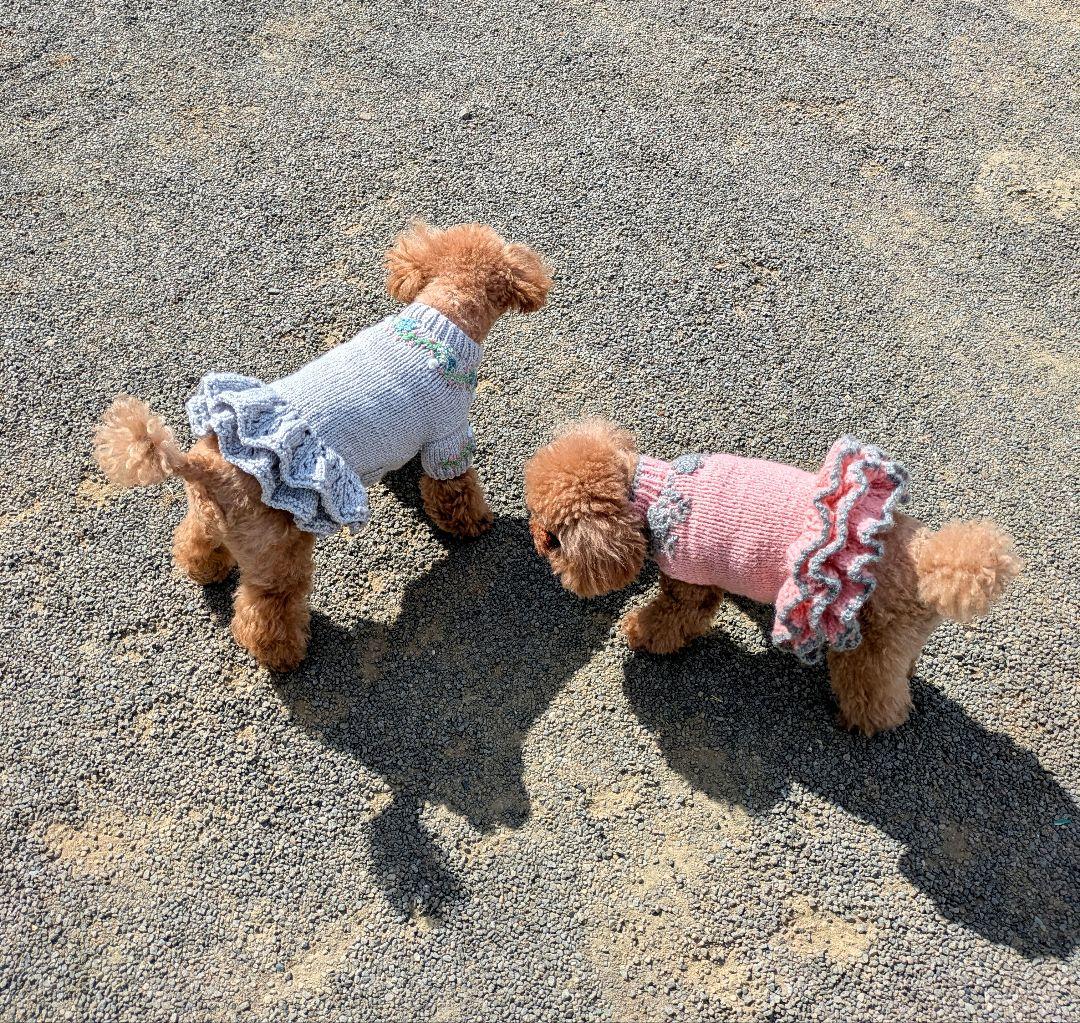 試着画像 ROXY】 胸元の大きなロゴが特徴的なジャケットで、すっきりと見える