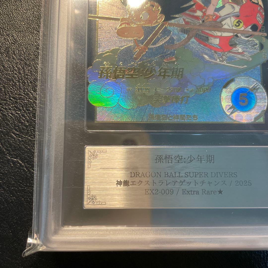 ex2-009 孫悟空少年期 パラレル ars10