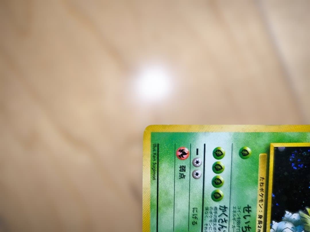 【旧裏面/限界値下げ】No.003[★]エリカのフシギバナ　2枚セット