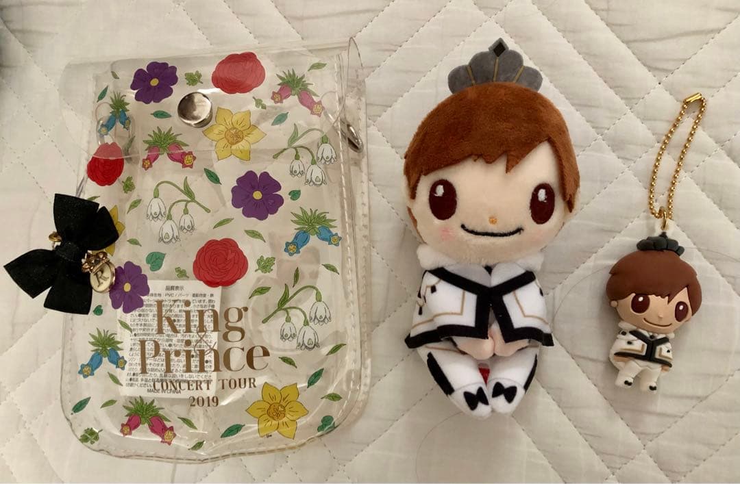 蝶標本 Caraxes フタオ 東南アジア①研究産地別コレクション 大型