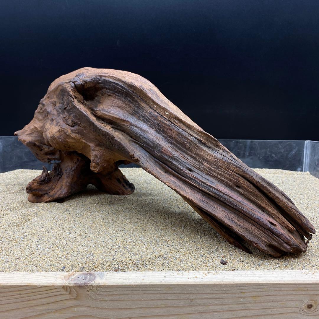 MRW-6371 特大流木1点物自立90cm水槽用アクアリウム爬虫類