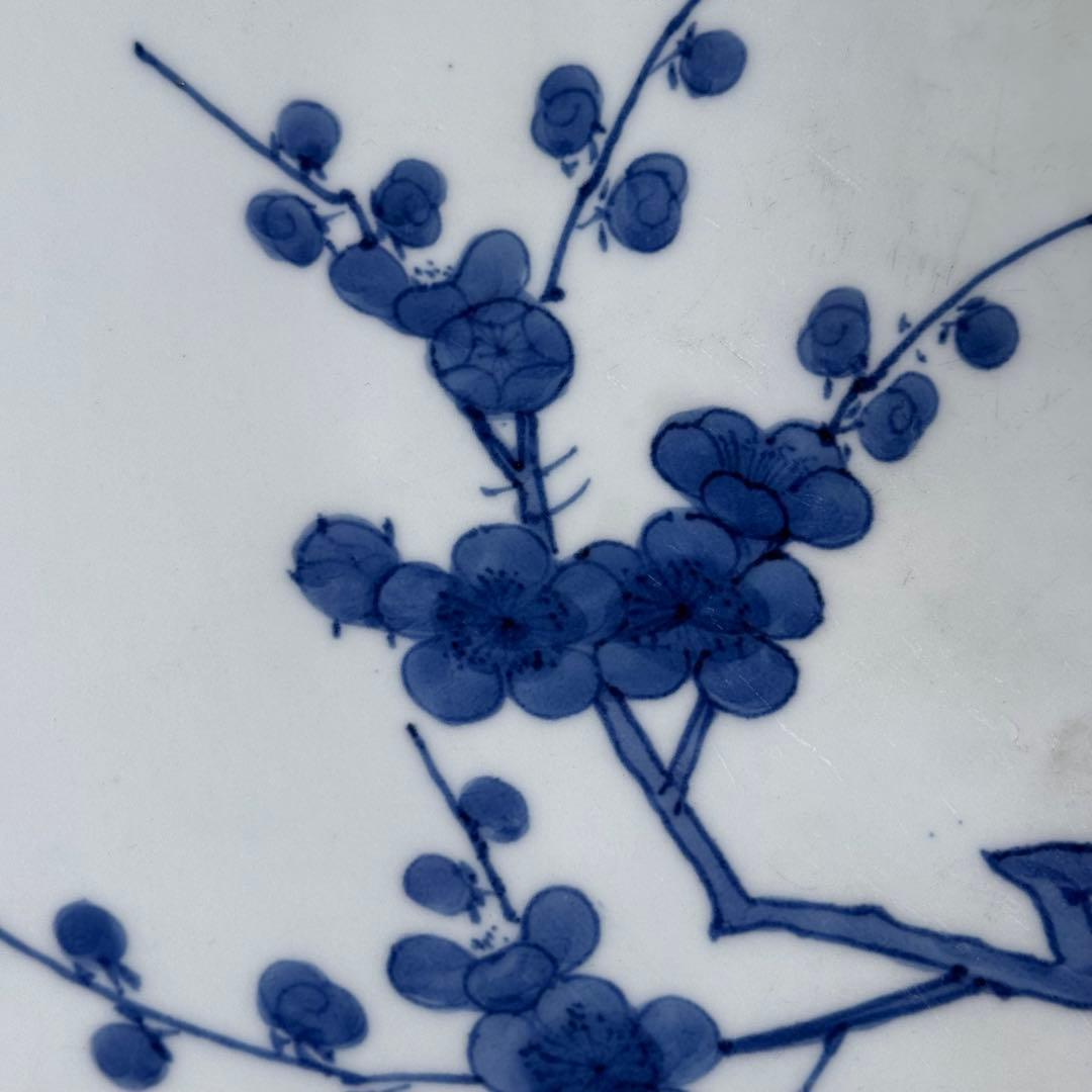 宝暦〜幕末 後期鍋島 染付松竹梅大皿 裏唐草文 蒐集家放