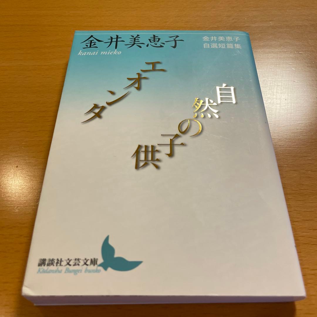 絶版セット・希少・美品】 金井美恵子 自選短篇集 講談社文芸文庫