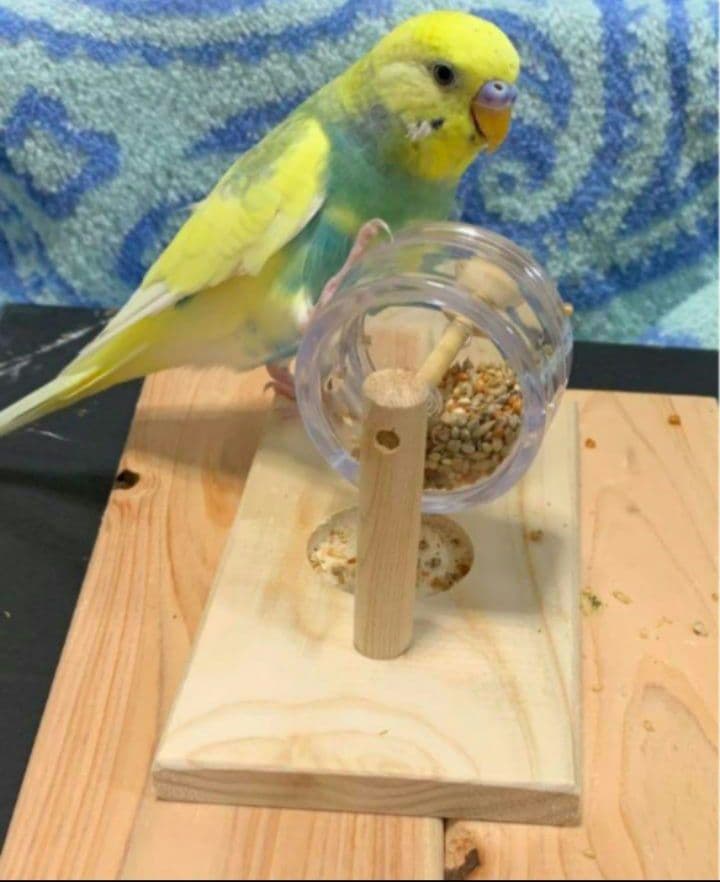 g157 止まり木 Tパーチ スタンド バードトイ フォージングトイ色々セット