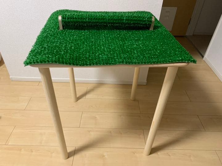 猛禽類 鳥類 パーチ （止まり木）