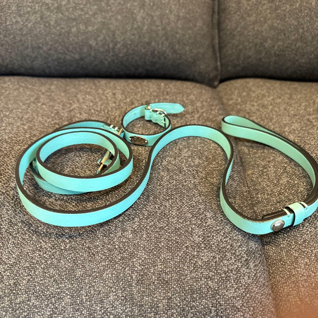K5455 Tiffany ティファニー リード ペットリーシュ 犬 首輪 箱 K5455