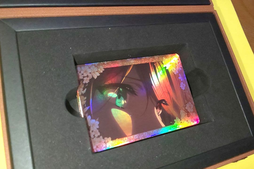 ヴァイオレット・エヴァーガーデン　中国限定　海外限定　カードセットボックス付き