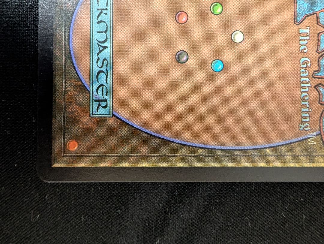 Guruランド グルランド 森