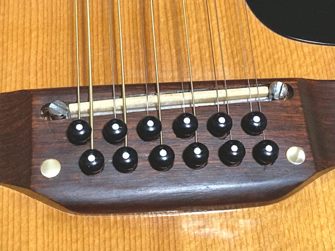 希少！】Elite 12弦ギター WG25 ジャパンヴィンテージ アコギ