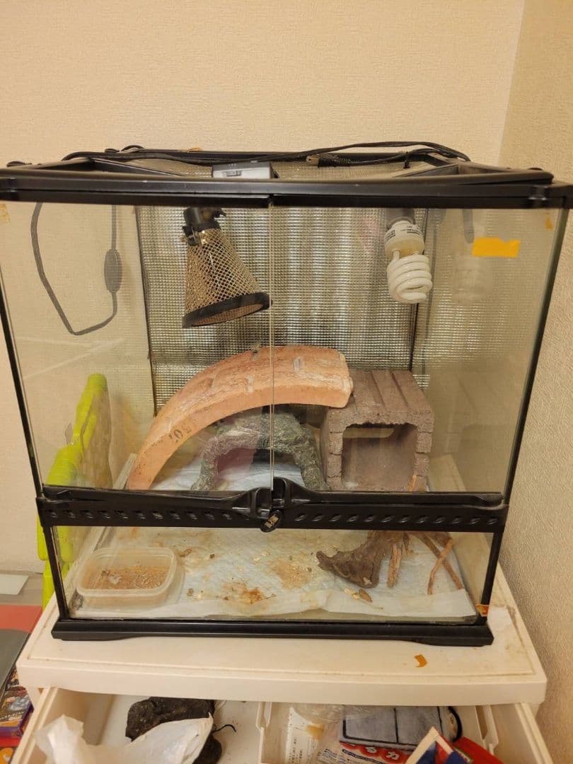 木製飼育ケージ セット ヒーター・照明 • シェルター • 餌皿付き