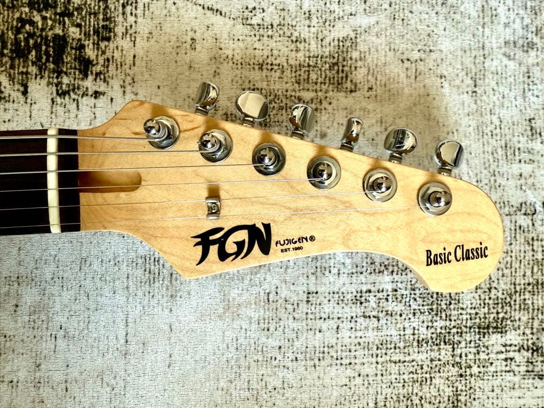 【エレキギター】FUJIGEN BSCT10RBD