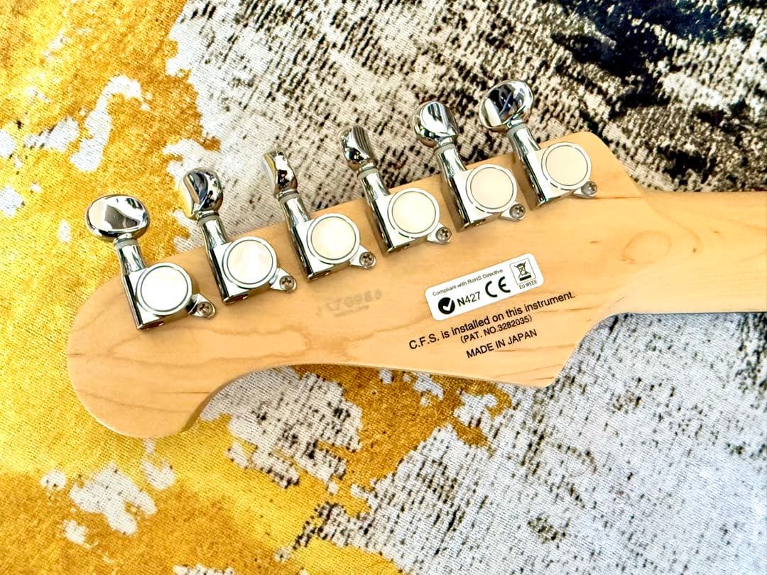 【エレキギター】FUJIGEN BSCT10RBD