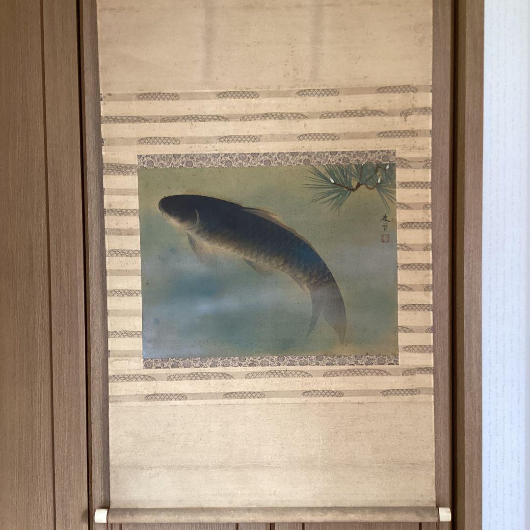 菱田春草　絹本横幅掛軸一幅　【　松　鯉　図　】自題箱　落款有軸先骨　模写　170