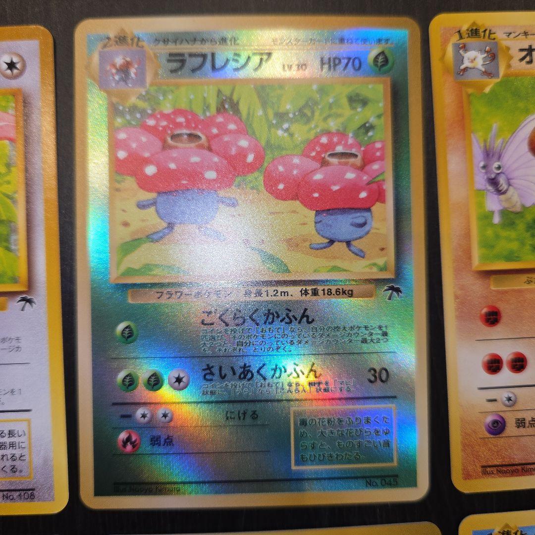 ポケモンカード旧裏 プレミアムファイル/トロピカルアイランド