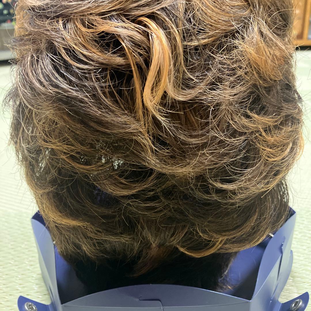 ウィッグ 本体のみ ブラウン系 メーカー不明 箱フォンテーヌ