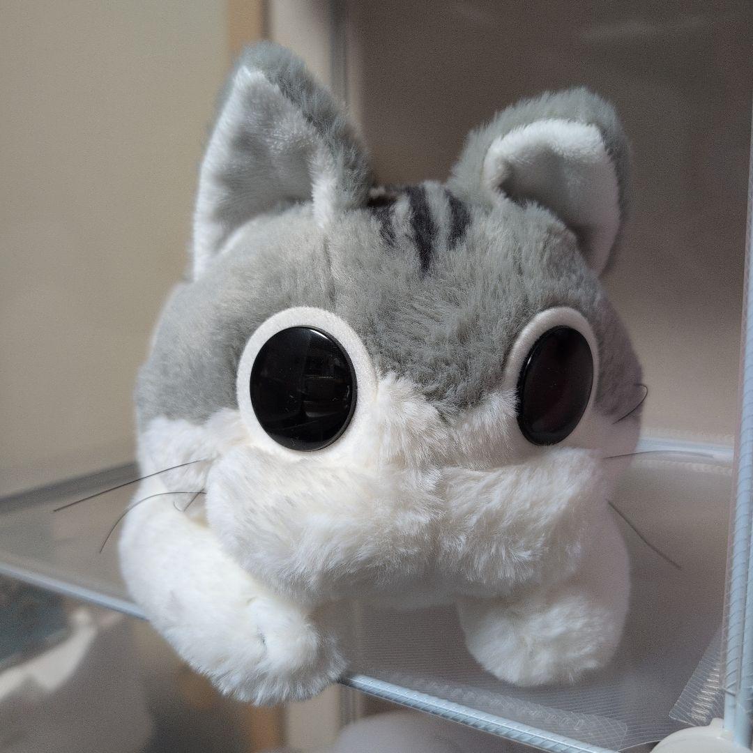 夜は猫といっしょ　キュルガぬいぐるみ　カドスト限定