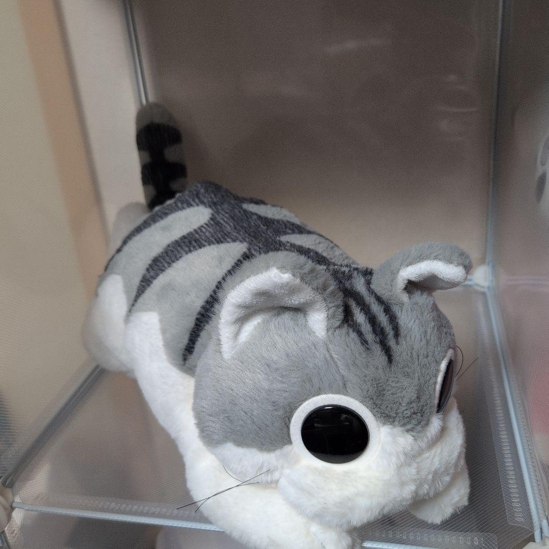 夜は猫といっしょ　キュルガぬいぐるみ　カドスト限定