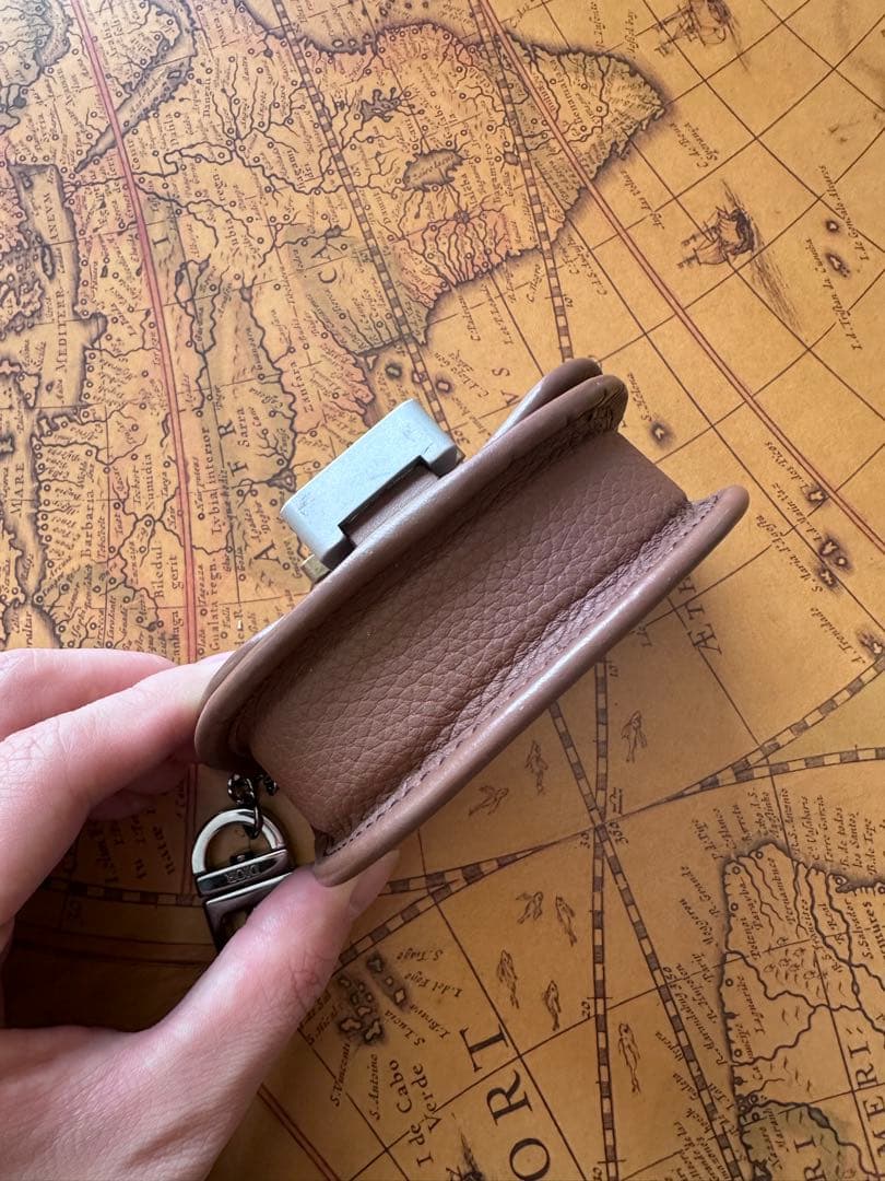 Dior ローラーコースター　air pods pro 小物　ケース