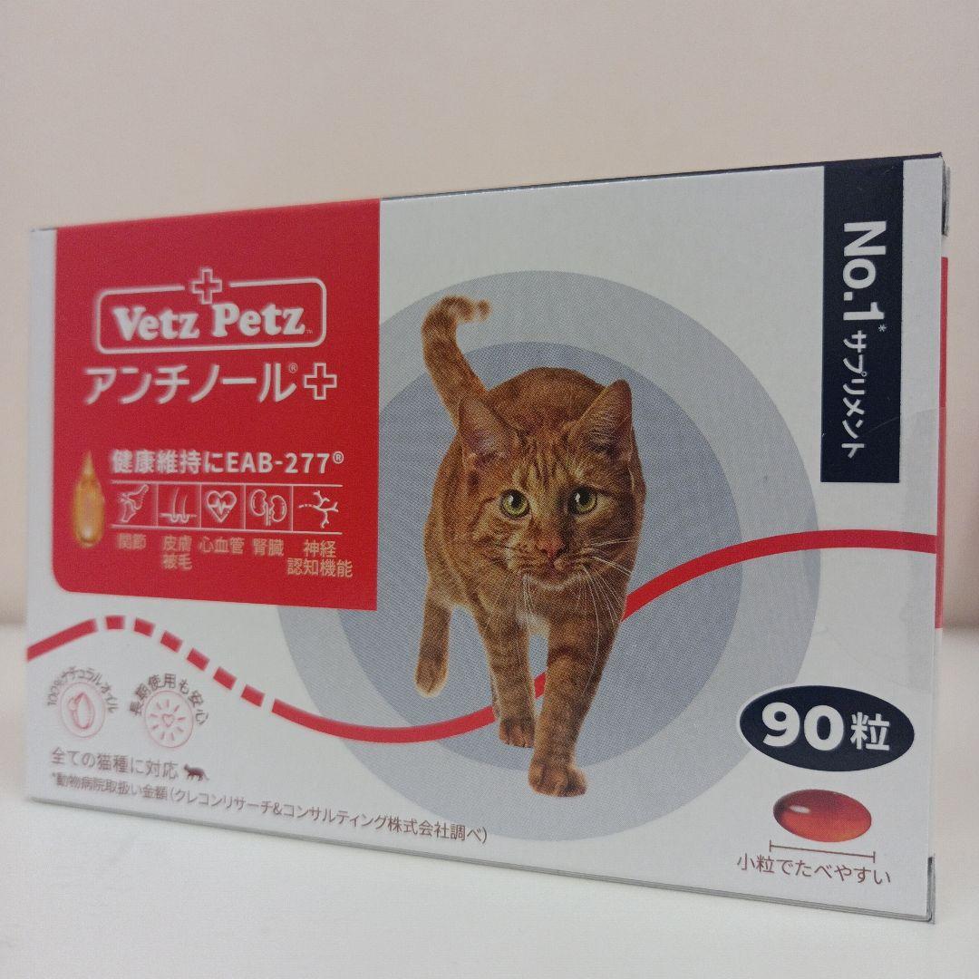 アオサギ骨格標本 | wunder アオサギ 鷺 頭部 頭骨 スカル 極美麗標本