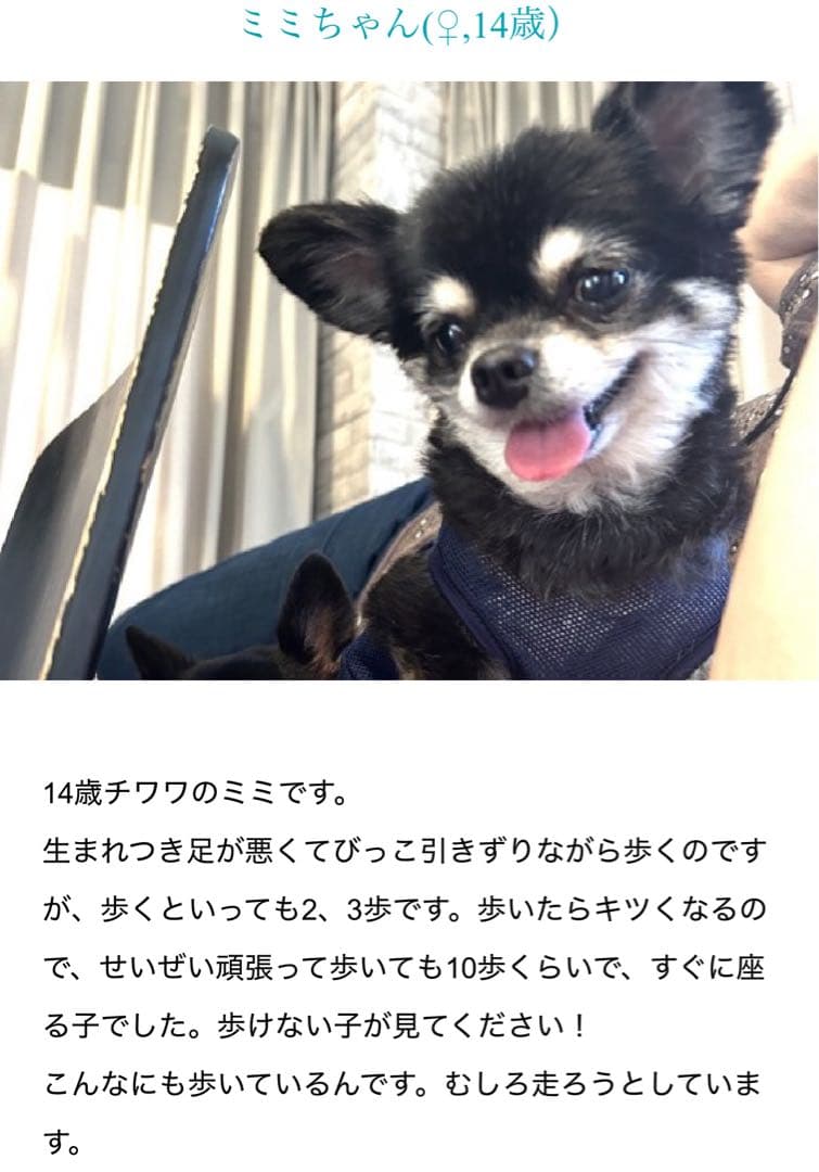 AniMat アニマット 医療 健康 病気 ペット用