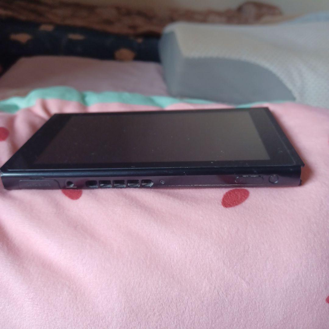 NintendoSwitch本体一式(初期化済み2018年12月購入品・箱無し)