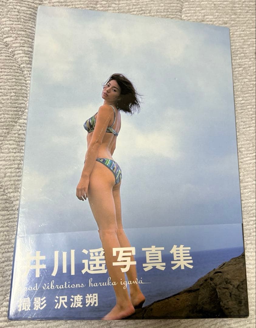 井川遥 写真集 カレンダー 2001 2点 - メルカリ