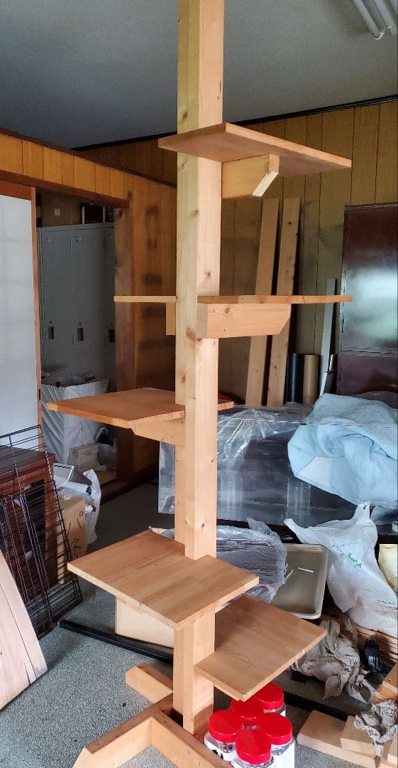 希少 絵皿 脚本家「高橋玄洋」さんと天狗寺「陶白人」のコラボ作品