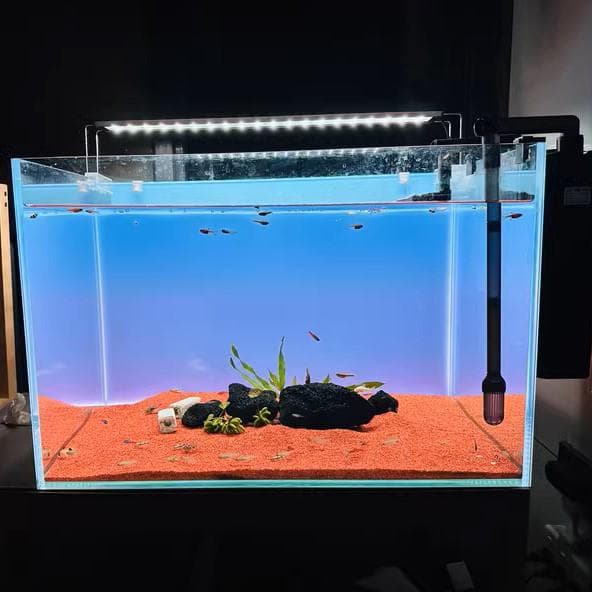 lcl43】カラーLEDライトスクリーン 45cm x 30cm 魚用品・水草