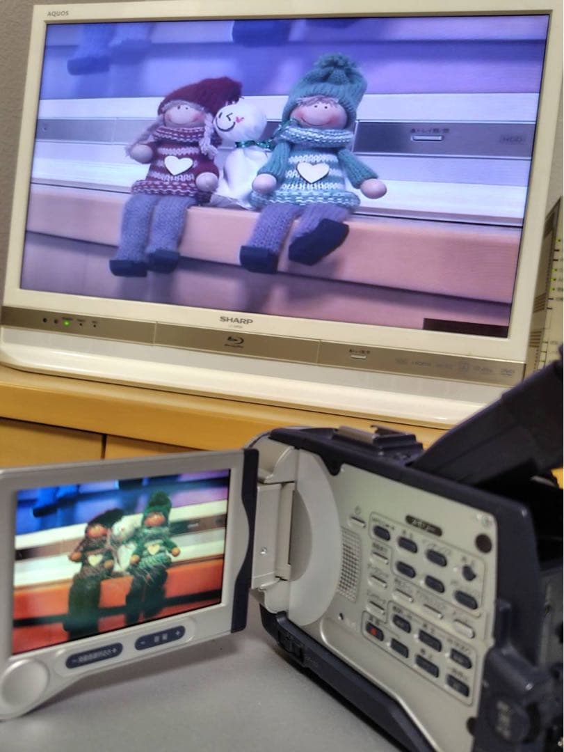 ビデオカメラ SONY DCR-TRV30