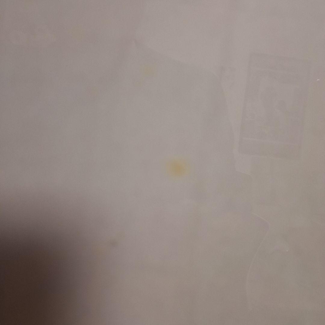 額縁　書道　日本画 水墨画 額装 木製 和額　隅丸額　ヴィンテージ