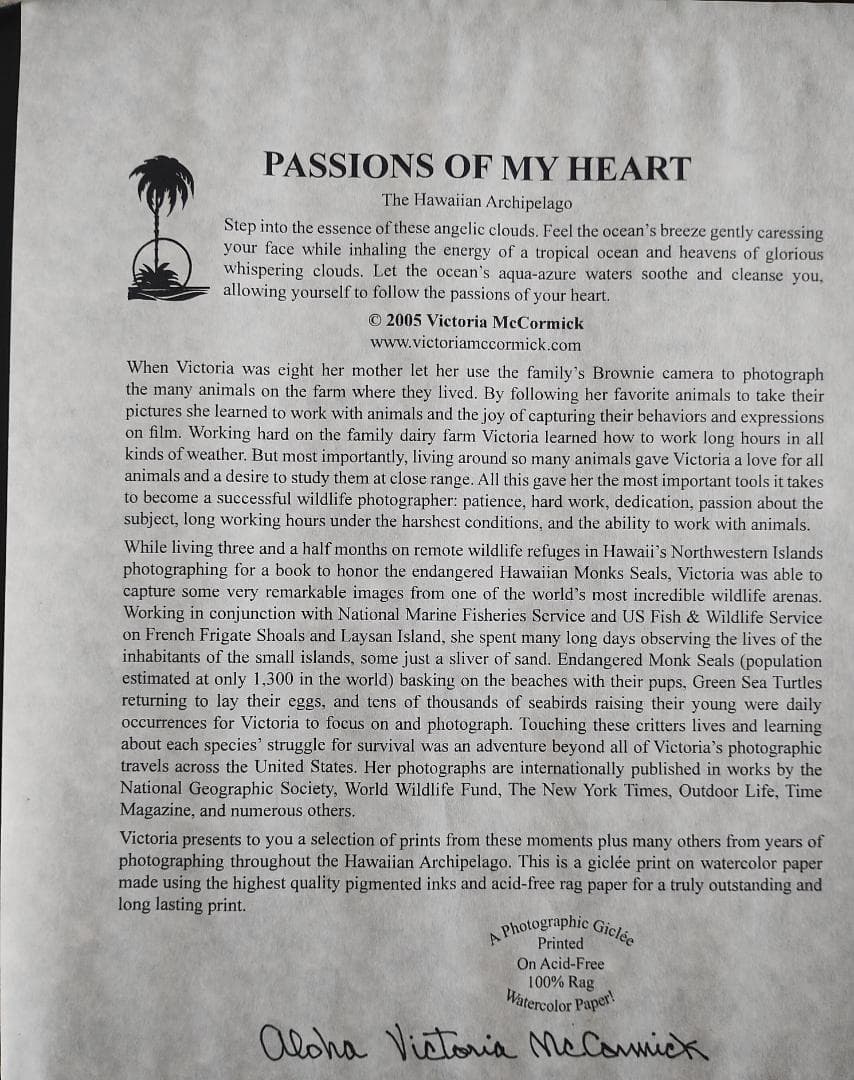 Victoria McCormick ハワイの風景画 Hawaii art