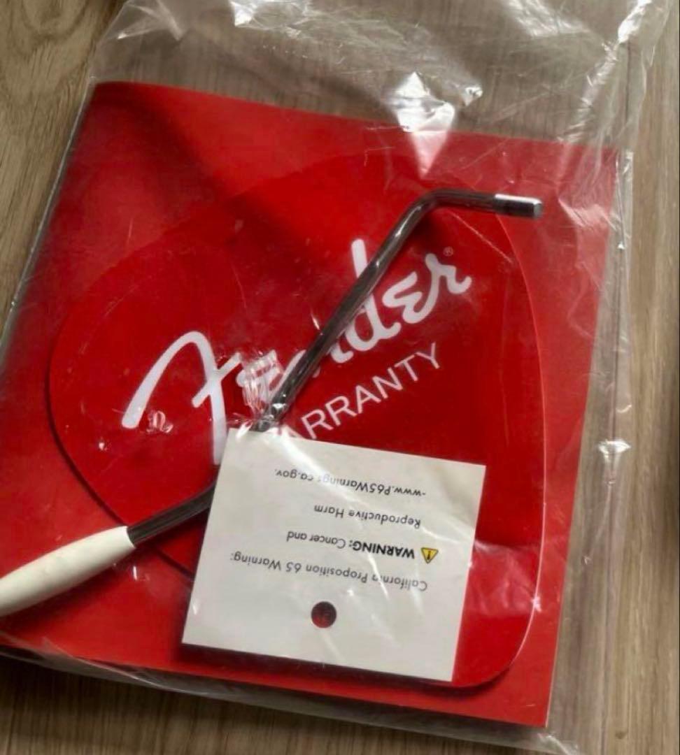 美品】FenderJapan JD21011981 多めおまけつき