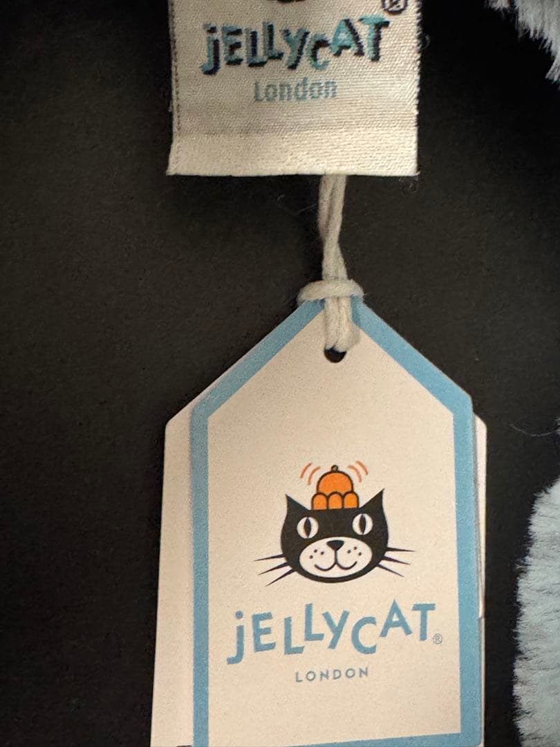 スカイドラゴン　Sky Dragon ドラゴン　水色