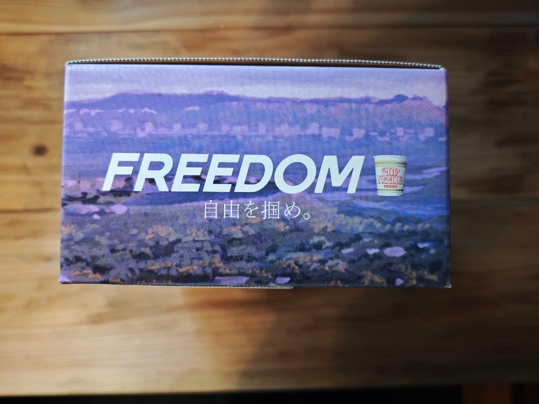 FREEDOM フィギュア ポスター4枚セット 大友克洋 当選品