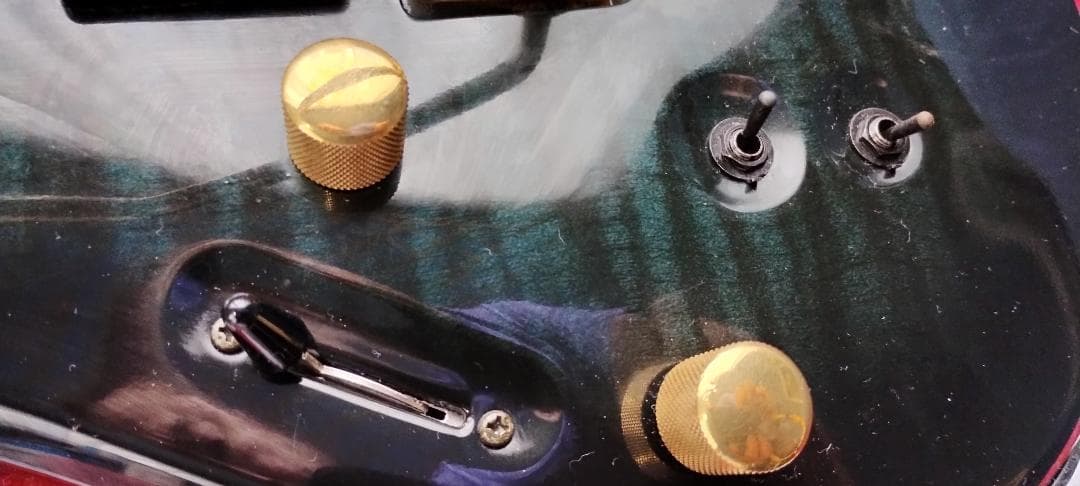 フェルナンデス サスティナー付き レフティ仕様