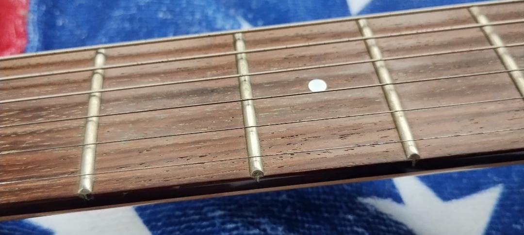 フェルナンデス サスティナー付き レフティ仕様